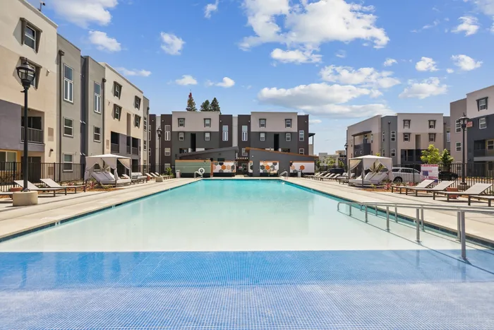 Maven on Broadway | Sacramento, CA | Sparkling Pool