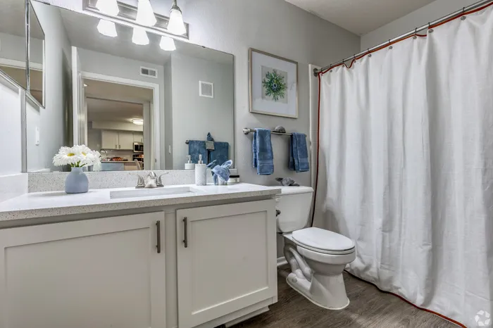Calais Park Apartments | St. Petersburg, FL | Second Bathroom