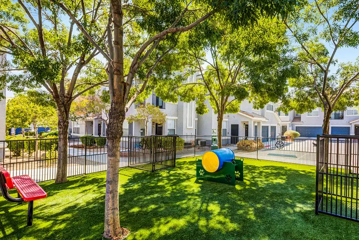Inviting outdoor playground with lush trees, a vibrant play tunnel, and a cozy red bench.