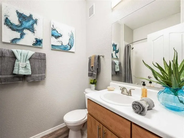 Estrella Gateway | Avondale, AZ | 2x2 Gold Bathroom