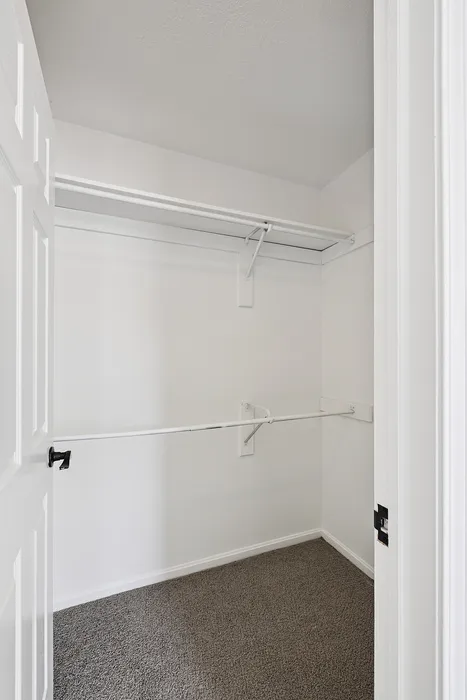 Spacious walk-in closet with ample shelving and hanging space, featuring clean white walls and plush carpeting.