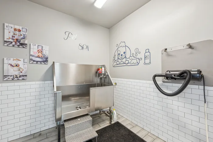 Charming pet spa with modern grooming station, playful dog illustrations, and chic tiled walls for a luxurious pampering experience.