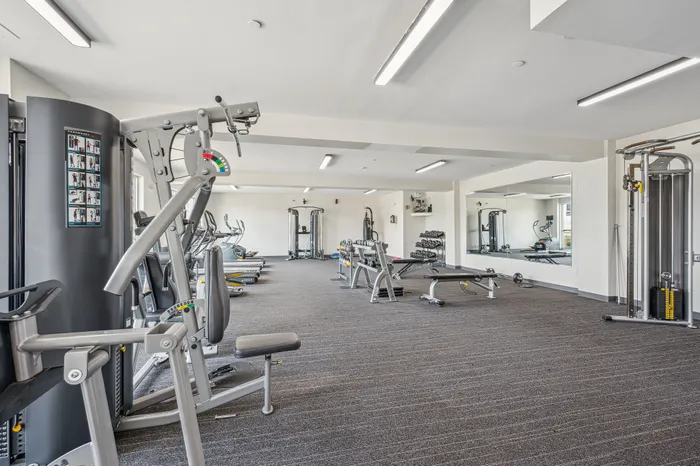 Modern fitness center with state-of-the-art exercise equipment, spacious layout, and bright ambiance.