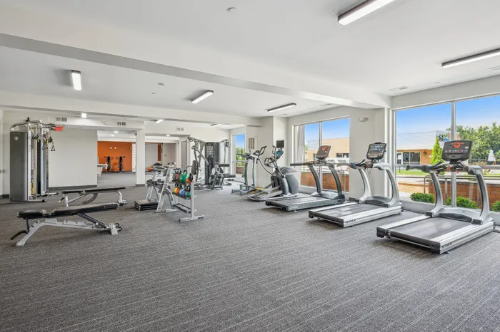 Bright, modern gym with state-of-the-art workout equipment and large windows overlooking scenic views.
