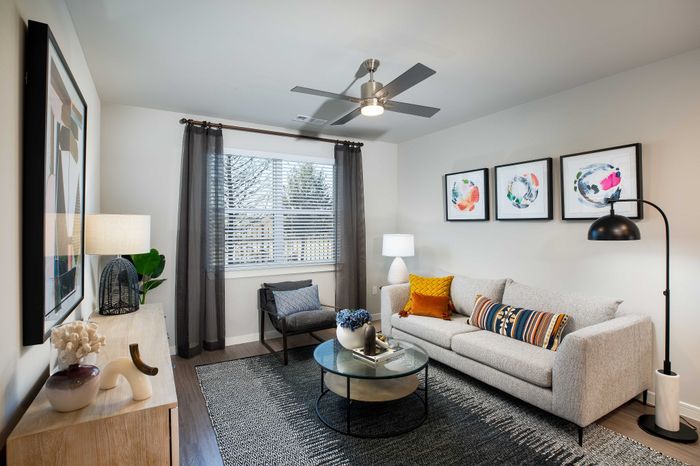 Contemporary living room with elegant decor, featuring a cozy gray sofa accented with vibrant cushions, abstract wall art, and sleek lighting.