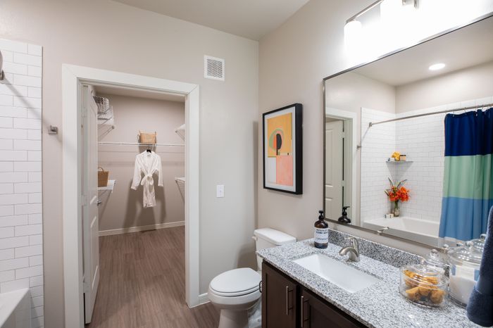 Modern bathroom featuring elegant granite countertops, stylish artwork, and a spacious walk-in closet.