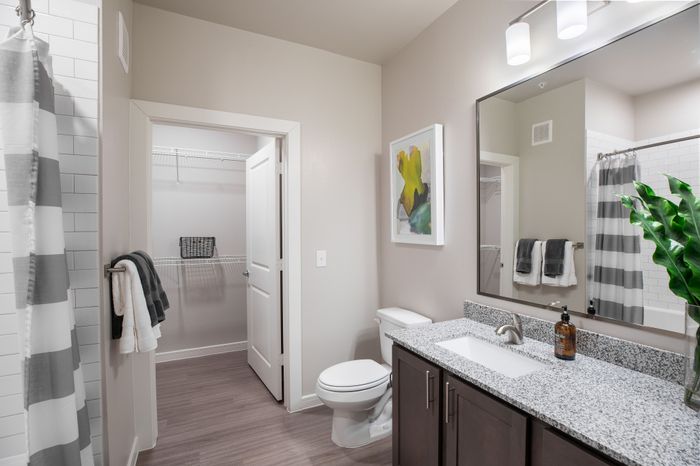Bright modern bathroom with elegant granite countertop, stylish framed artwork, and spacious walk-in closet.
