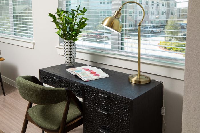 Bright and modern workspace with a chic black desk, elegant brass lamp, and lush greenery by a sunlit window.