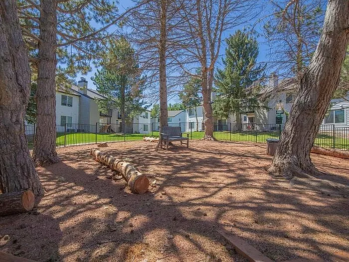 Serene outdoor space with tall trees, natural seating, and charming apartment views.