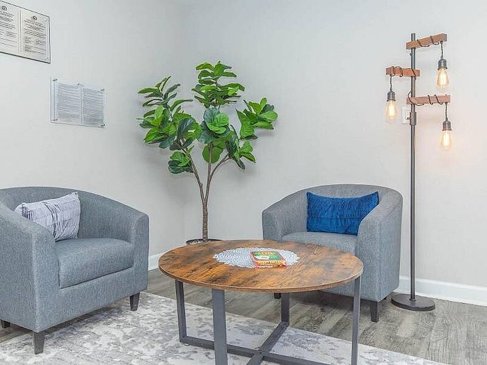 Chic apartment living area with cozy gray armchairs, stylish wooden coffee table, lush green plant, and modern hanging light bulbs.