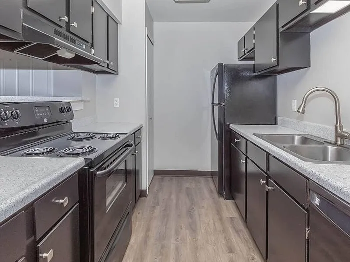 Chic modern kitchen with sleek black cabinets, stainless steel appliances, and elegant countertops.