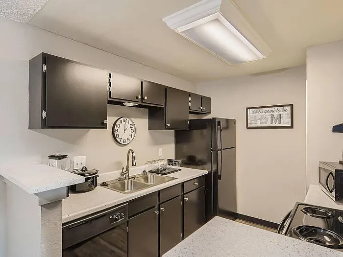 Modern kitchen with sleek black cabinets, stainless steel sink, and contemporary appliances offering a stylish and functional space.