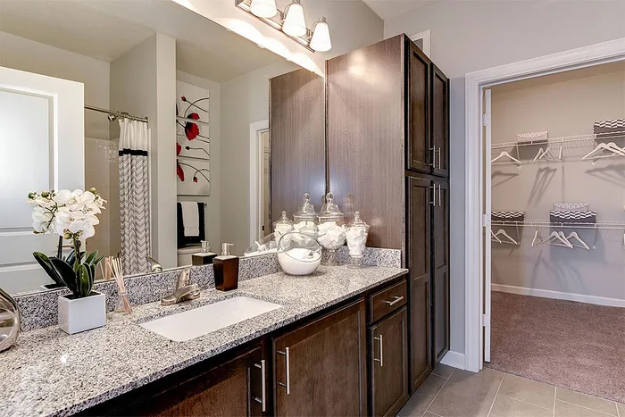 Luxurious bathroom featuring elegant granite countertops, rich wood cabinetry, and a modern walk-in closet.