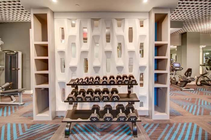 Modern fitness center with stylish geometric decor, featuring a well-equipped dumbbell rack and high-end gym equipment.