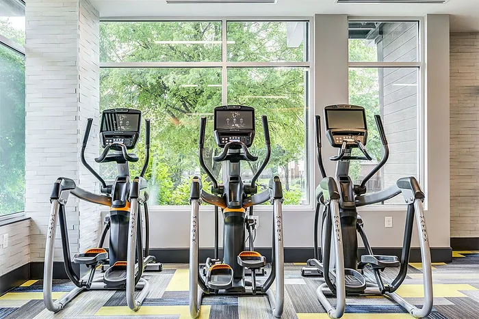 Modern fitness center with three high-tech elliptical machines overlooking a lush green view through large windows.