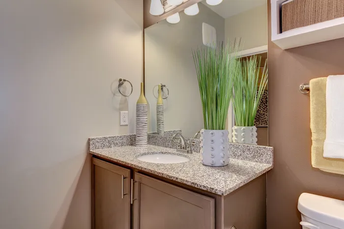 Chic bathroom with a modern granite countertop, stylish decoration, and elegant lighting.