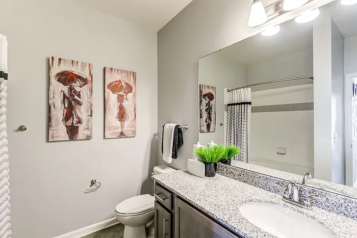 Modern bathroom design featuring elegant granite countertop, sleek fixtures, and decorative artwork enhancing the ambiance.