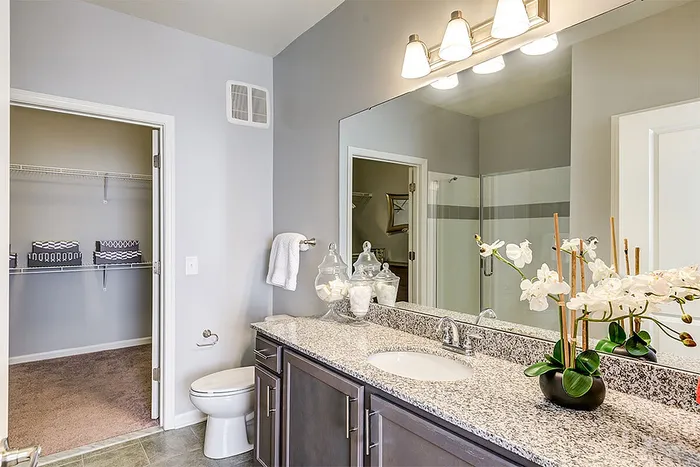 Elegant bathroom with granite countertops, sleek fixtures, and a bright mirror reflecting contemporary design. Luxurious walk-in closet enhances practicality.
