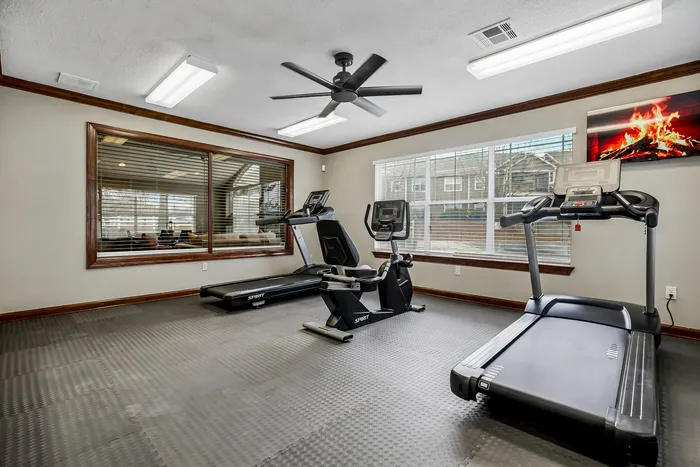 Bright, modern fitness room with sleek treadmills and exercise bike, featuring large windows for abundant natural light.
