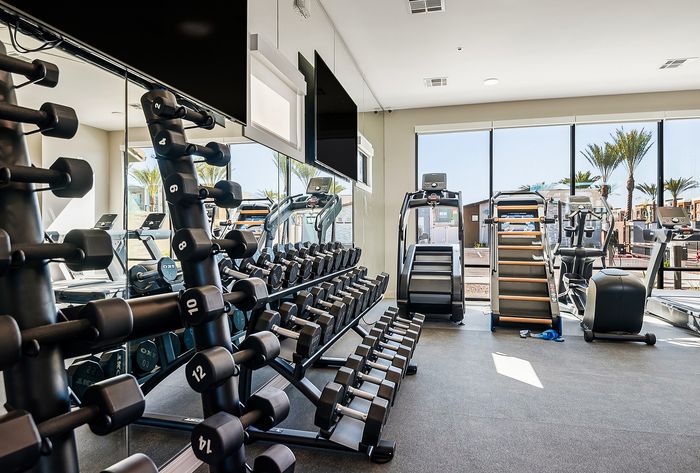 Bright and modern gym with state-of-the-art equipment, featuring row of dumbbells and sleek cardio machines, complemented by floor-to-ceiling windows with palm tree views.
