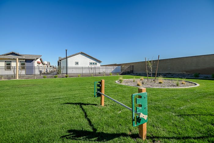 Vibrant community garden space with lush green lawns, modern fencing, and a playful outdoor feature under a clear blue sky.