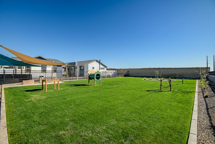 Expansive green dog park with agility equipment under clear blue skies, perfect for pet-friendly communities.