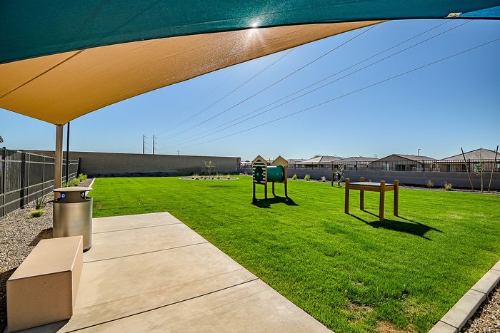 Spacious, sunlit backyard oasis with lush green lawn, shade-covered play area, and stylish modern seating.