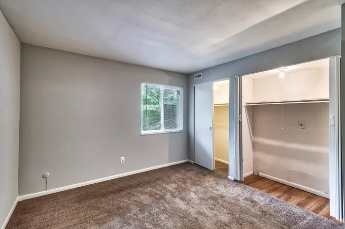 Bright and airy empty bedroom with plush carpeting, a large window offering natural light, and a spacious walk-in closet.