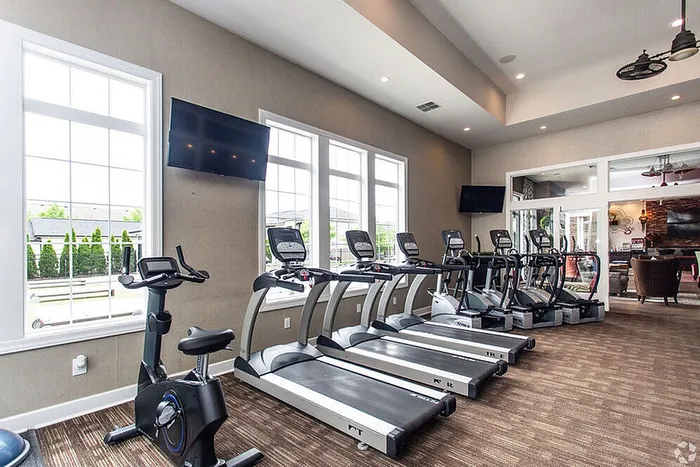 Bright and modern gym with multiple treadmills, large windows offering natural light, and a serene view outside, perfect for fitness enthusiasts.