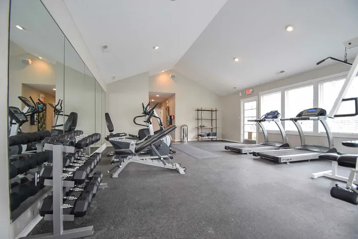 Modern fitness center with state-of-the-art equipment, mirrored walls, and abundant natural light for an invigorating workout experience.