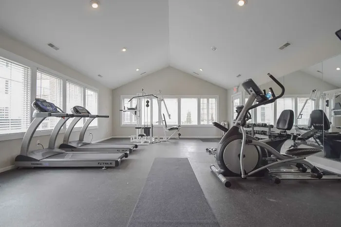 Modern fitness center with state-of-the-art treadmills, exercise bike, and weight machine, featuring large windows for natural light.