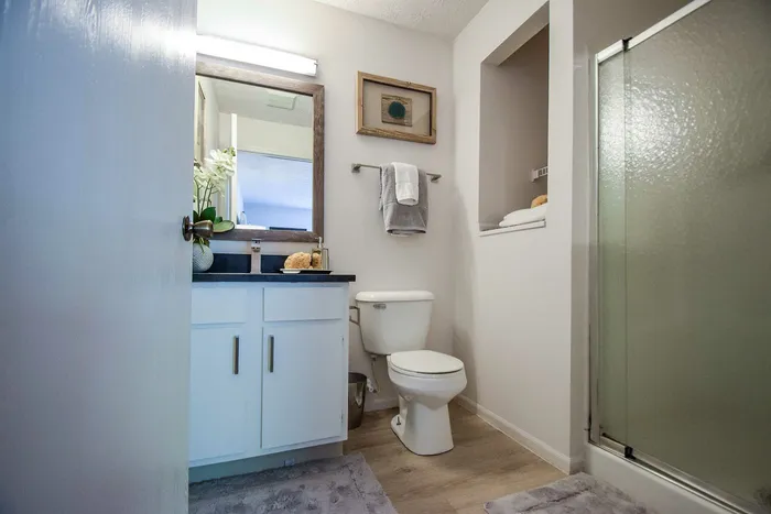 Charming bathroom with elegant vanity, plush decor, and a modern glass shower in a bright, airy space.