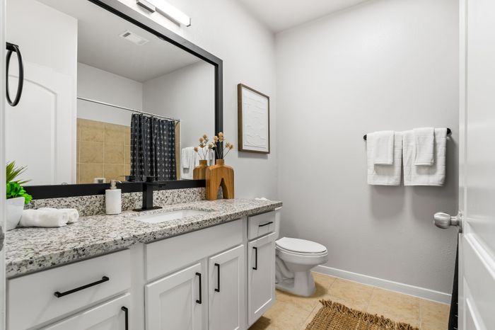 Elegant bathroom showcasing modern fixtures, granite countertop, and stylish decor with neutral tones for a serene ambiance.