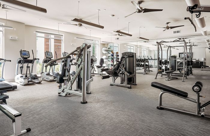 Luxurious apartment gym with modern fitness equipment, natural light, and sleek design.