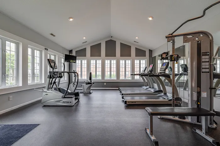Bright and modern fitness center featuring high ceilings, large windows, and top-quality exercise equipment for a refreshing workout experience.