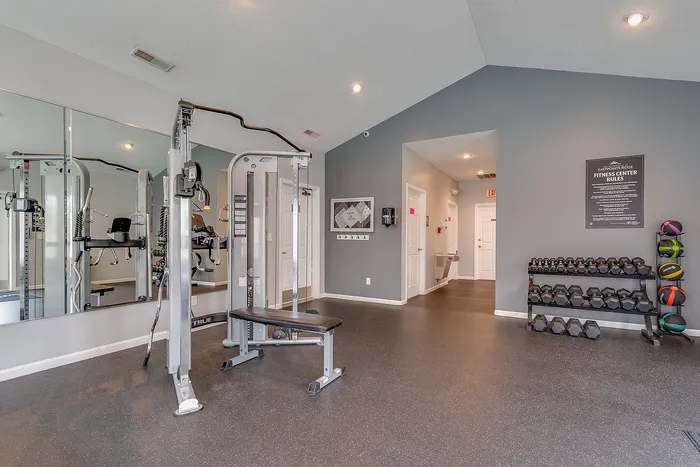 Contemporary fitness center with state-of-the-art equipment, mirrored walls, and a variety of weights and workout balls, offering a vibrant exercise experience.