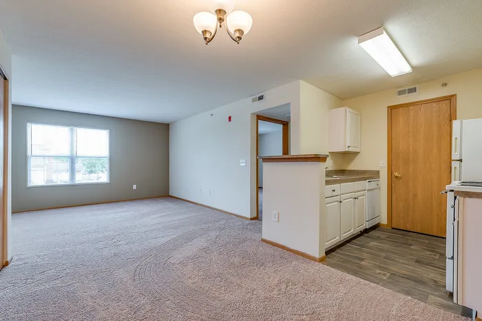 Bright and airy open-plan living space with plush carpeting, large window, and modern kitchen with wooden accents.
