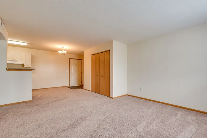 Bright, spacious living area with plush carpet, chic lighting, and an open kitchen setup, perfect for modern living.