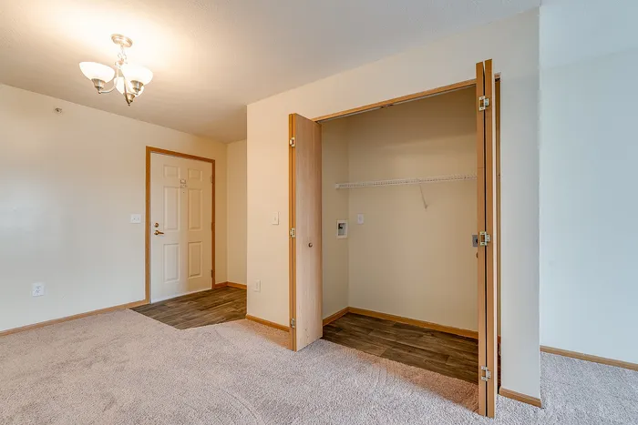 Bright apartment interior featuring a spacious closet, elegant lighting, and plush carpeting ideal for cozy living.