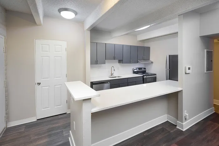 Modern kitchen with sleek gray cabinetry, stainless steel appliances, and a spacious countertop ideal for meal prep and casual dining.