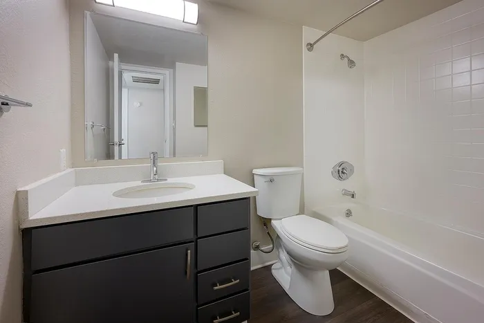 Modern bathroom with sleek vanity, large mirror, and pristine bathtub, exuding elegance and comfort.