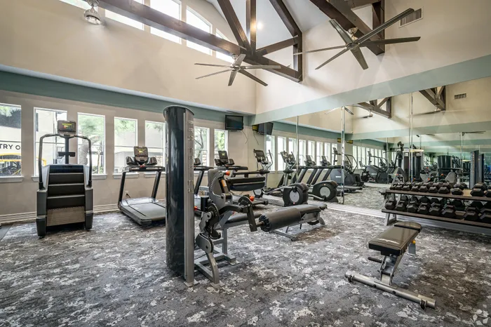 Bright, modern gym with high ceilings, featuring state-of-the-art treadmills, elliptical machines, and a variety of free weights.