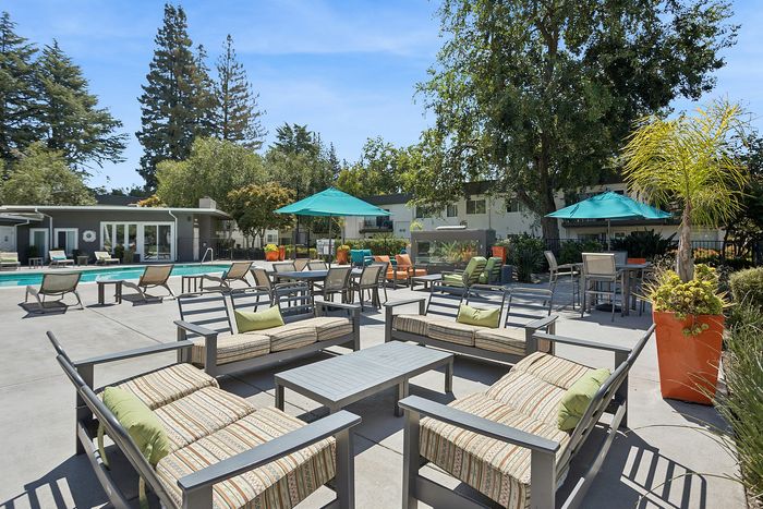 Inviting outdoor lounge area with modern seating and vibrant umbrellas beside a sparkling pool, surrounded by lush greenery.