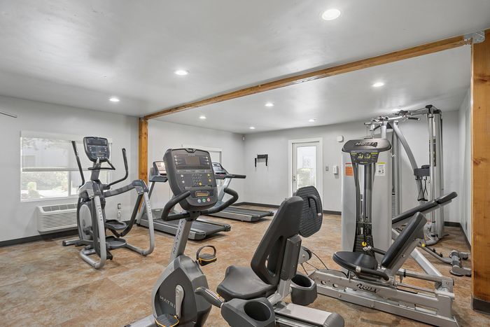 Modern apartment gym with state-of-the-art exercise equipment, including treadmills and elliptical machines, under soft lighting.