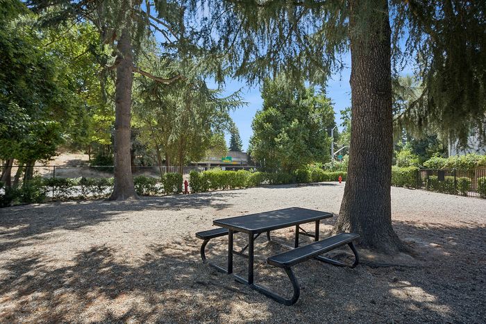 Serene outdoor picnic area beneath towering trees, perfect for relaxation and gatherings.