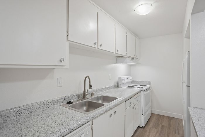 Modern kitchen featuring granite countertops, sleek white cabinetry, and contemporary appliances, perfect for culinary creativity.