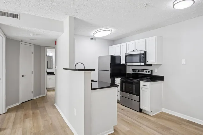 Bright modern kitchen with sleek stainless-steel appliances, elegant black countertops, and warm wood flooring.