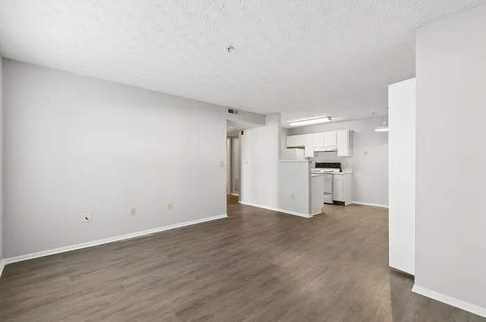 Modern apartment interior featuring bright open-concept layout with sleek hardwood floors, minimalist white kitchen cabinetry, and ample natural light.