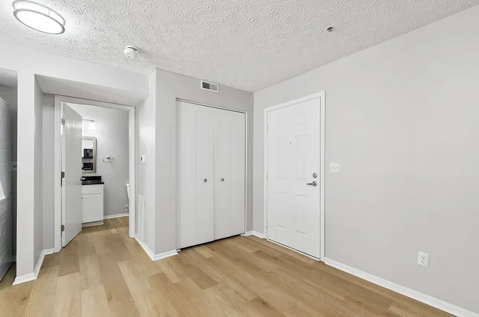 Bright and inviting apartment entrance with modern wood flooring and sleek white doors, highlighting a contemporary and spacious design.