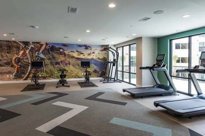 Modern fitness center with vibrant scenic mural, featuring state-of-the-art exercise bikes and treadmills next to large windows for an invigorating workout experience.